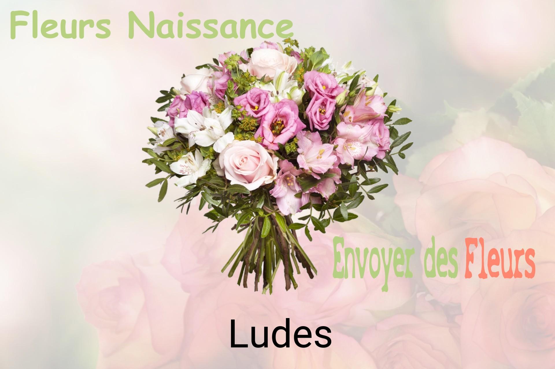 Bouquet de fleurs de naissance livré à Ludes